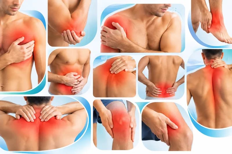 Collage of highlighted pain areas: chest, elbow, shoulder, ankle, abdomen, upper back, lower back, neck, knee and thigh